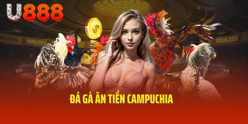 Đá gà ăn tiền Capuchia cùng U888