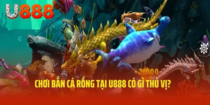 Chơi bắn cá rồng tại U888 có gì thú vị?
