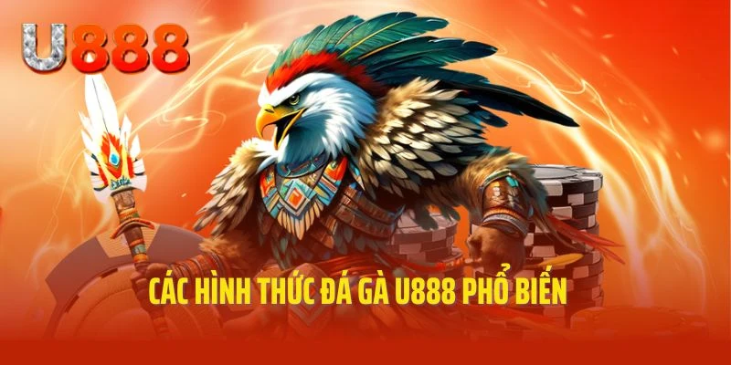 Các loại hình phổ biến, hay gặp trong đá gà U888
