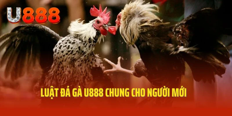 Luật cơ bản áp dụng trong hình thức đá gà U888