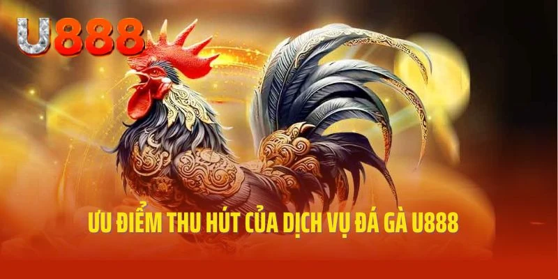 Ưu điểm đặc biệt nổi trội của dịch vụ đá gà U888