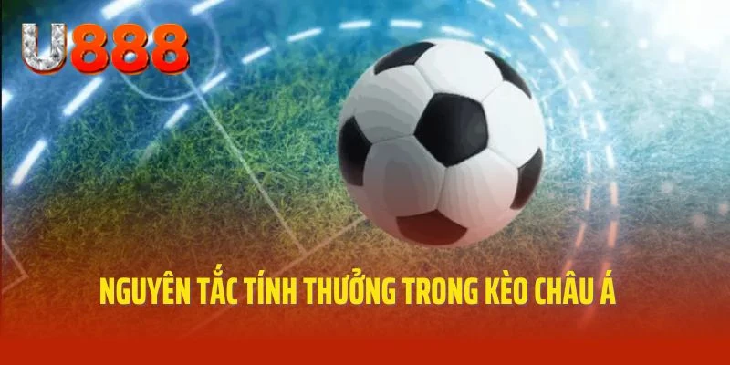 Quy tắc tính tiền áp dụng trong cược kèo châu Á