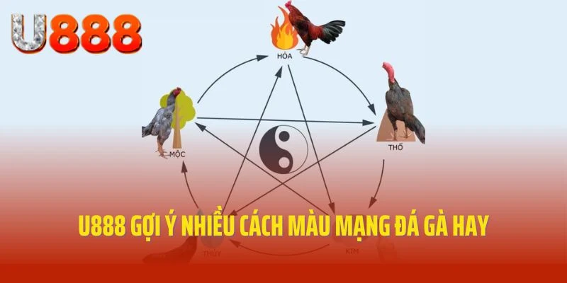 U888 gợi ý nhiều cách màu mạng đá gà hay