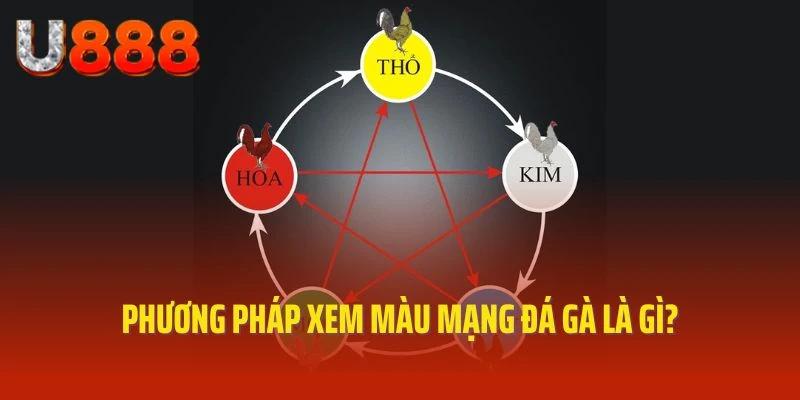Phương pháp xem màu mạng đá gà là gì?