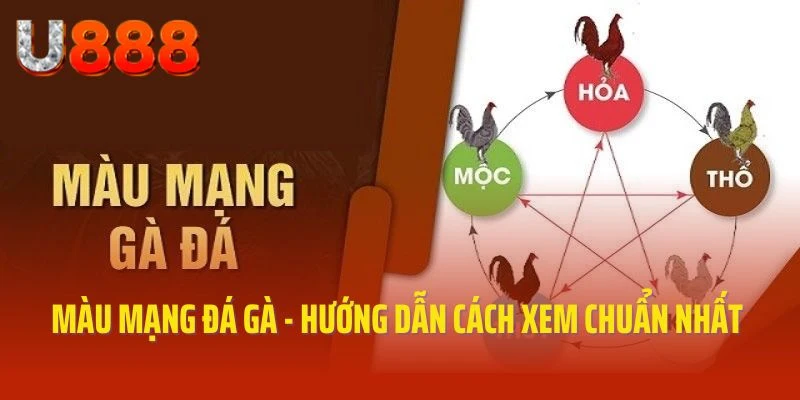 Màu mạng đá gà cực hot U888