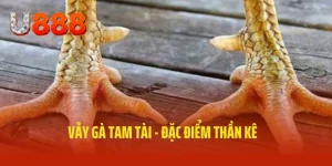 Vảy gà tam tài U888